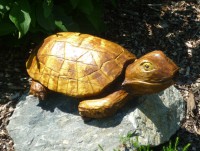 /album/vlukas/p1000859-jpg1/